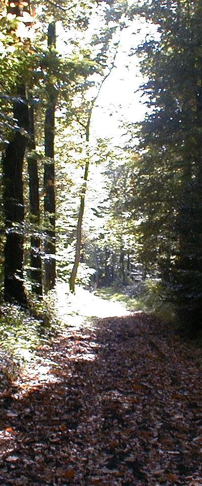 Autres photos
