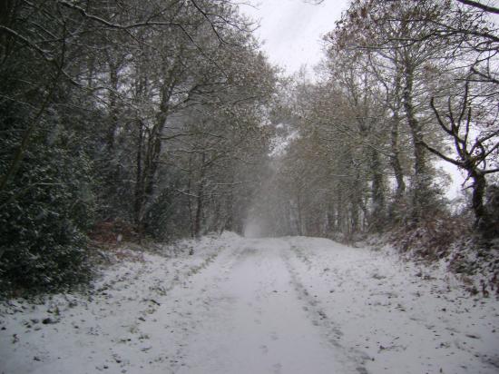Episode neigeux du