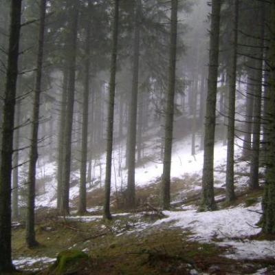 sur les pentes de la Banne d'Ordanche (1502m)